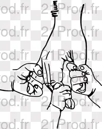 Image téléchargée