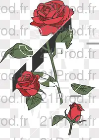Image téléchargée