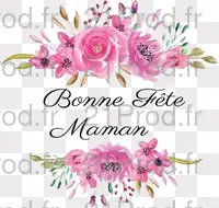 Image téléchargée